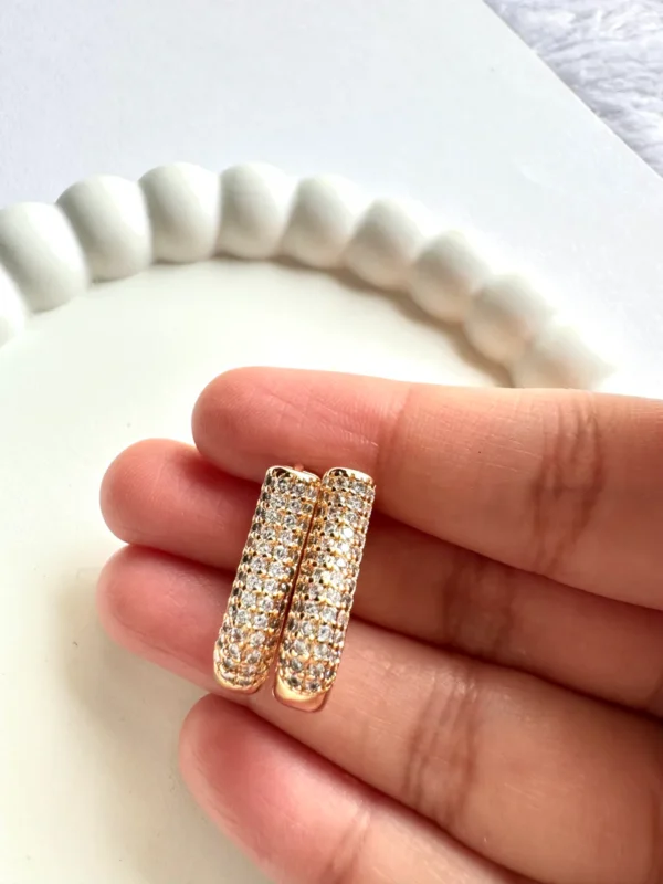 Sheeny Earrings